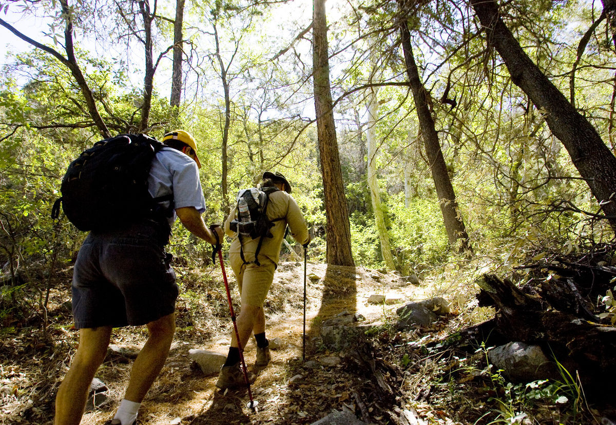 Madera Canyon